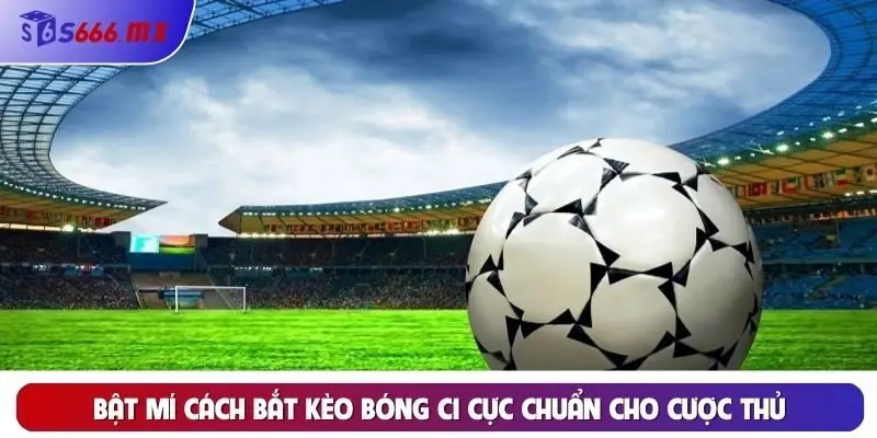 Bật mí cách bắt kèo bóng C1 cực chuẩn cho cược thủ