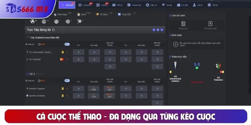 Cá cược thể thao - Đa dạng qua từng kèo cược