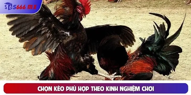 Chọn kèo phù hợp theo kinh nghiệm chơi