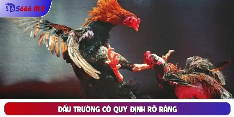 Đấu trường có quy định rõ ràng