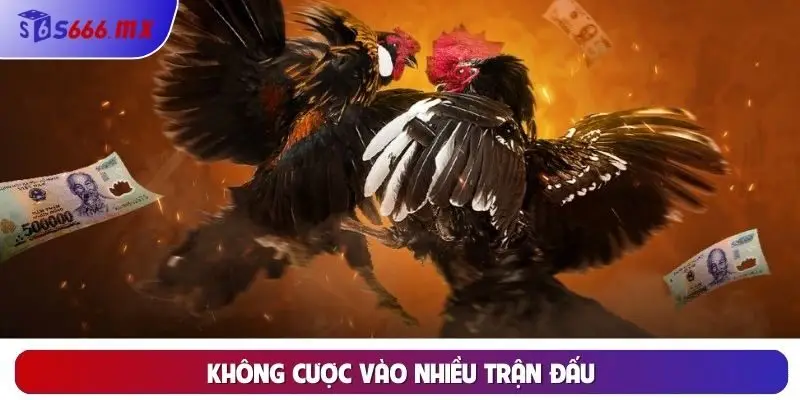 Không cược vào nhiều trận đấu